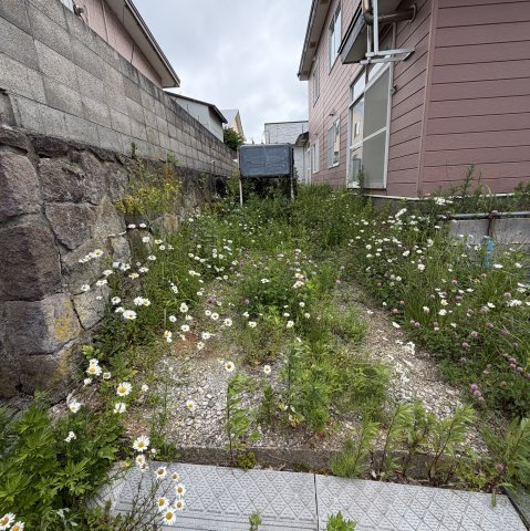 室蘭市白鳥台２丁目21-4APの庭