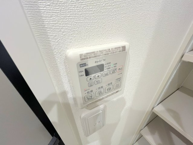 トラピッチェエメラルドのその他