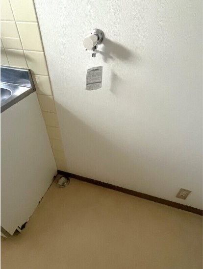 ハイムカミリアのその他