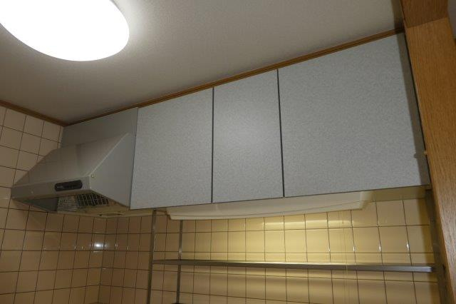 カーサフェリーチェⅠのキッチン|収納