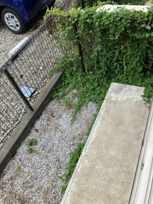 【庭】 | フレックス・ヴィラ | テラス