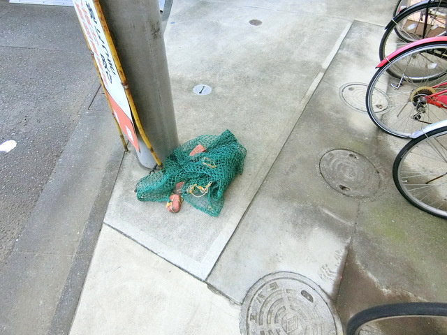 シティハイム　リーベのその他|★ゴミ置場★