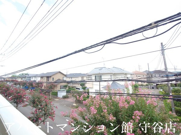 アモールⅡAの展望