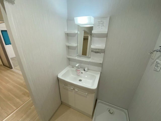 アルシェ21の洗面所