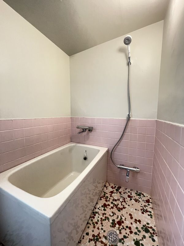 プレシアス本郷の浴室