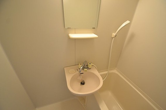 フォルティナドムスの洗面所