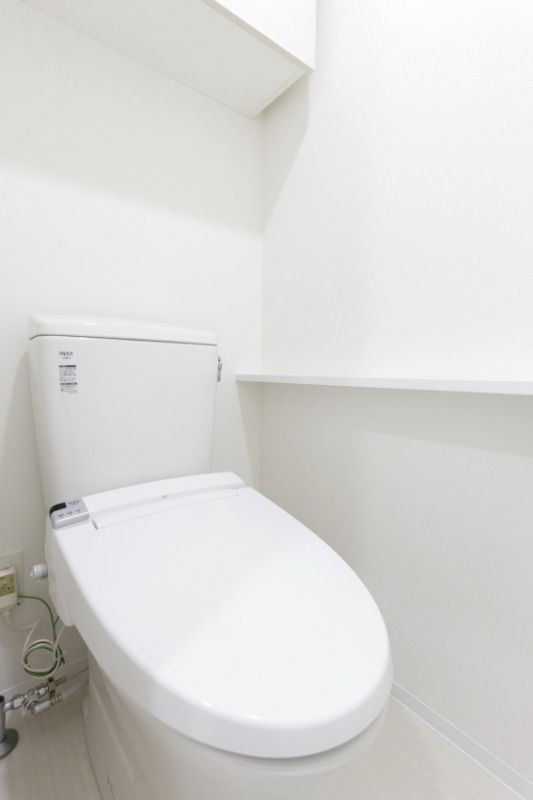 ブライズ世田谷桜 のトイレ