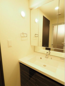 レジディア中目黒Ⅲの洗面所