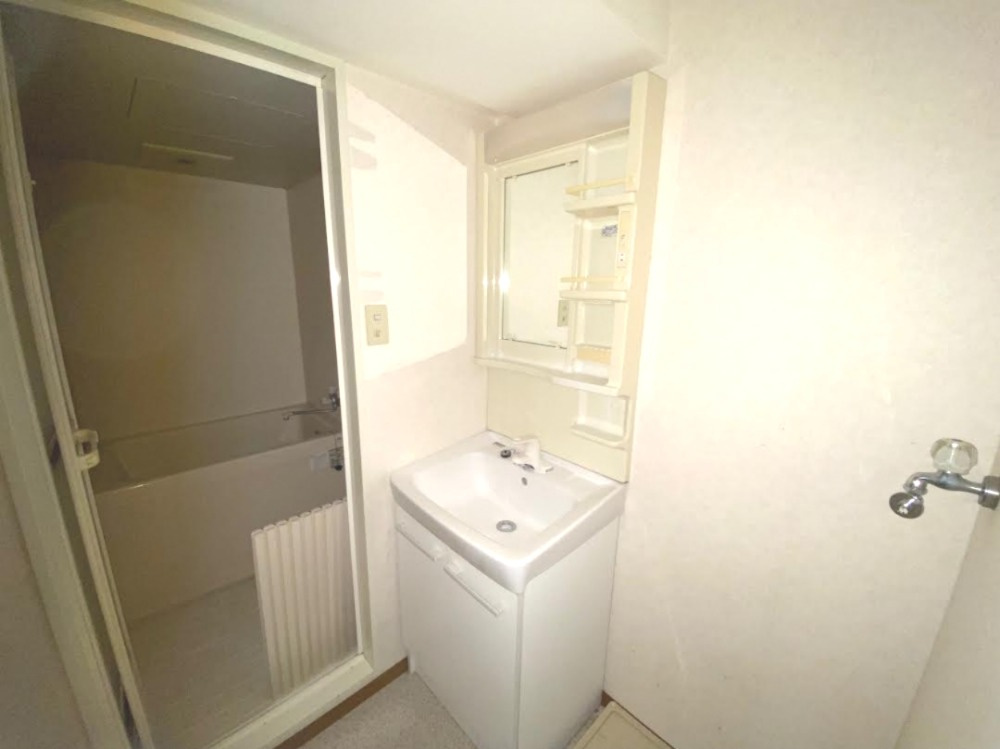 ヴェリテ有賀　アルガの洗面所