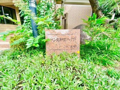 【その他】 | サン北野田ハイツ | 最上階につき日当たり良好・通風良好！
