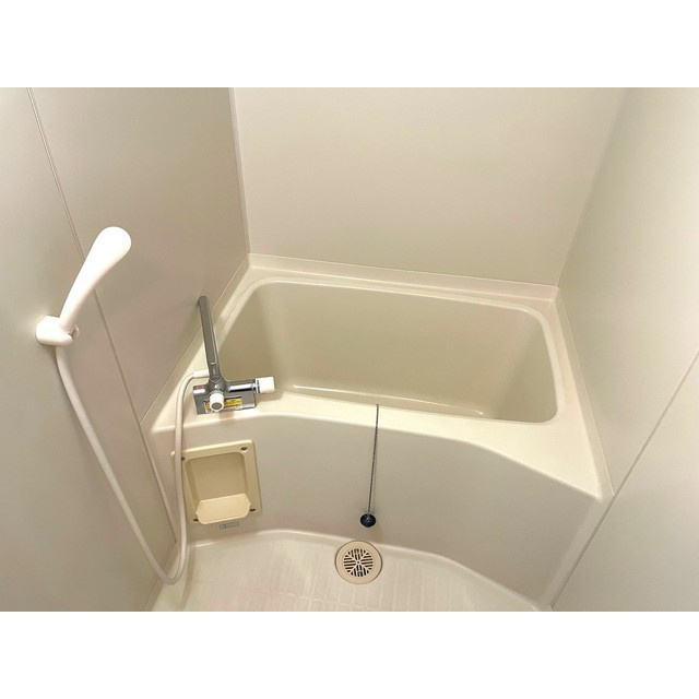 イーストフジの浴室