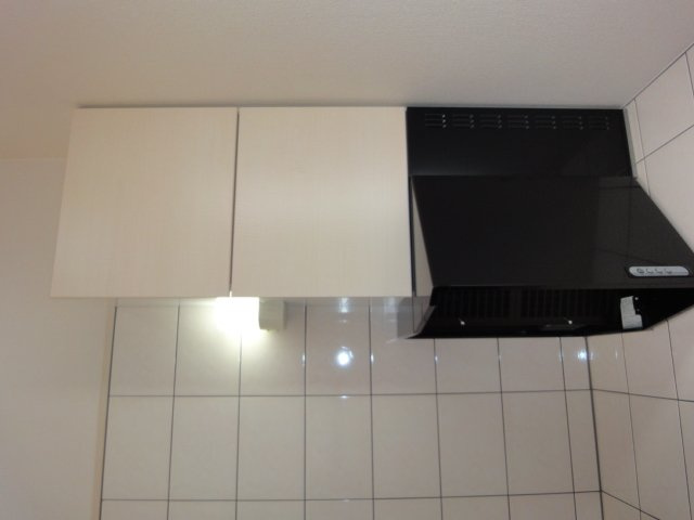 Ｐｉｎｅ　Ｖａｌｌｅｙ　弐番館のその他|レンジフード