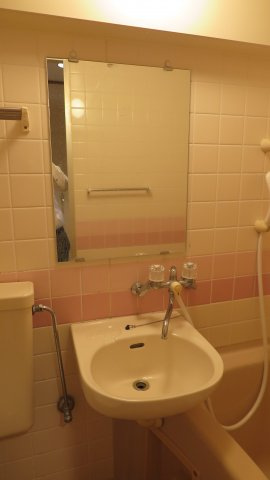 朝日プラザ岸里パサージュの洗面所