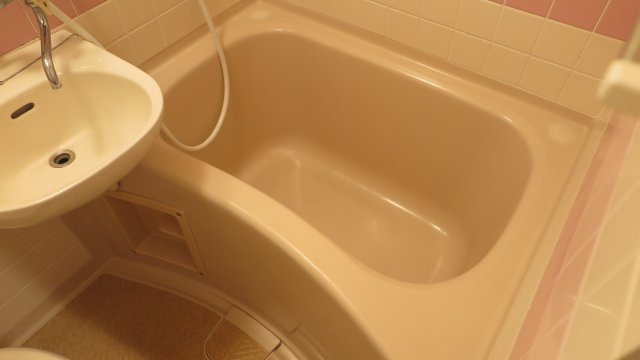 朝日プラザ岸里パサージュの浴室