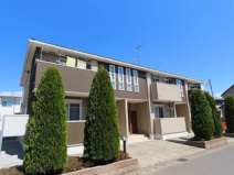 グリシーヌＢの画像