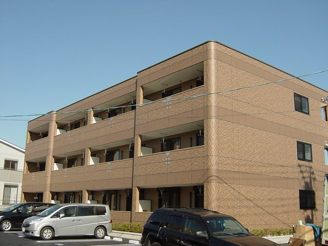 ブルーサンズ　ロフティー