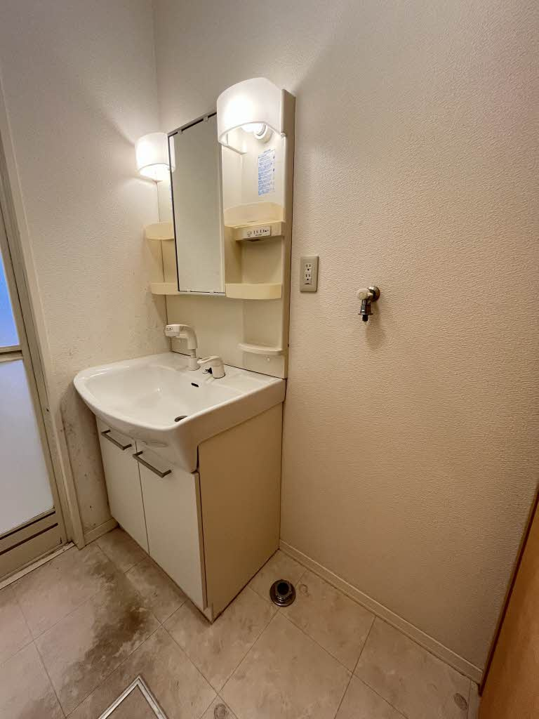 シャーメゾン永江町の洗面所