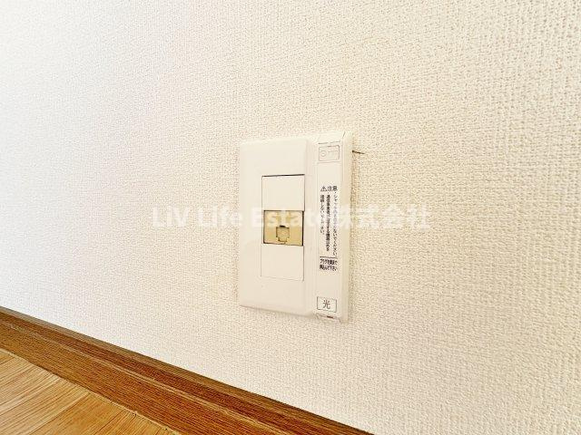 アイリスのその他