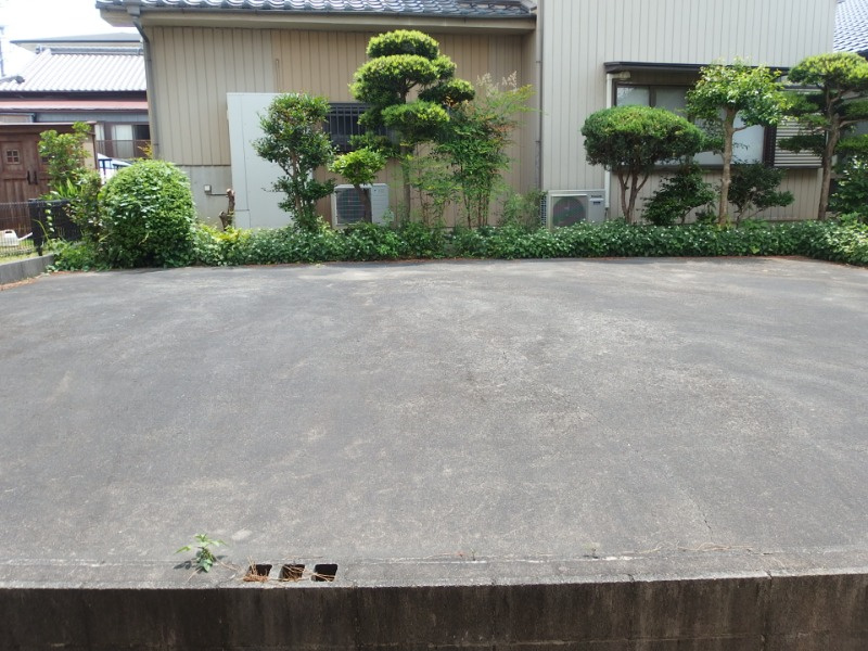 ニューシーズＥの展望