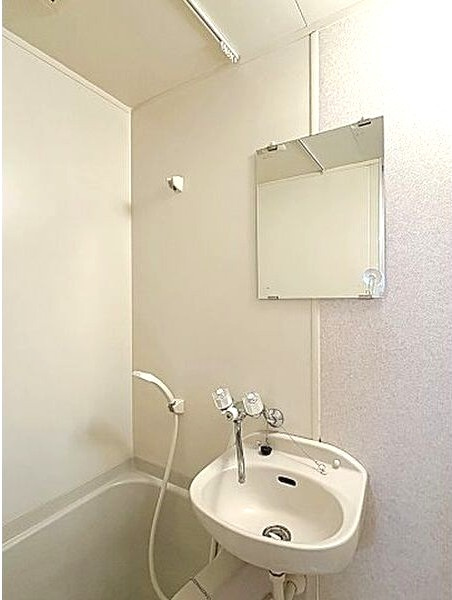 メゾン鶴里の洗面所