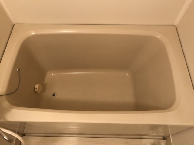 コンコード・Ⅱの浴室