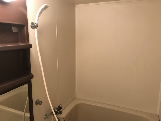 コンコード・Ⅱの浴室