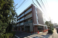 Ｍｉｌｅｂｅｌ　ｃｈｉｔｏｓｅｄａｉ（ミレベルチトセダイ）の画像