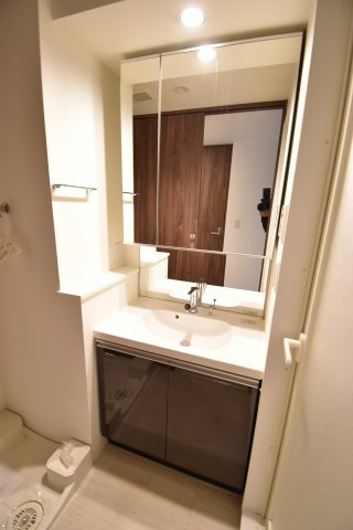 ハビテ靭センターコートの洗面所