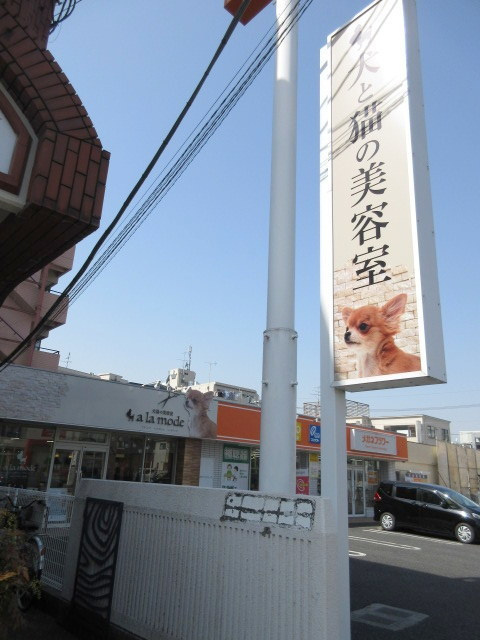 ＧＫパーク三郷のその他|トリミングサロン アラモード三郷店