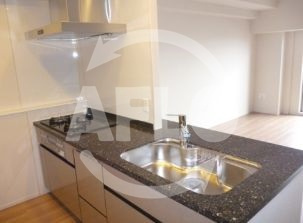 ジ・アーバネックスなんばのキッチン|ジ・アーバネックスなんば　カウンターキッチン