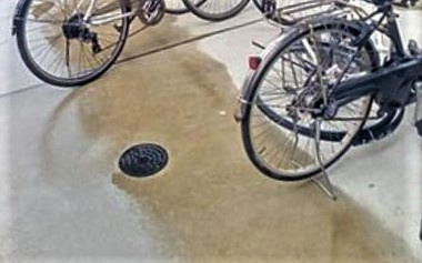 【その他共用部分】 | クレイノ氷川の杜