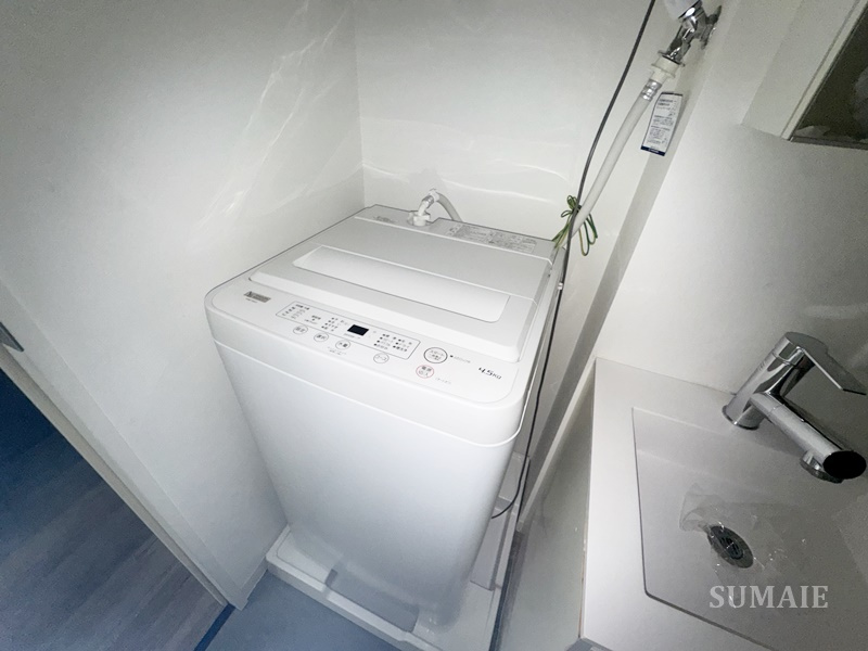 レピュア蓮根レジデンス　ＥＡＳＴの設備|洗濯機です