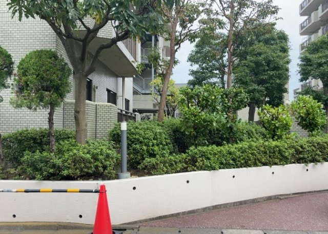 【中庭】 | サンヴェール橋本ツインタワー　ステージ２ | 中庭（パティオ）とは、一つの建築物の内部に設けられた、壁などで囲われている庭のことを指します。コの字型、ロの字型が主流ですが、L字型の中庭もあります。最近では、インテリア性の高さからも人気があります。