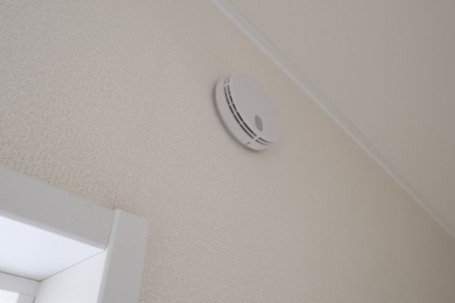 《仲介手数料無料》西区三橋６丁目1649新築一戸建てハートフルタウンのその他|撮影日 2025年11月18日 14:30 晴れ