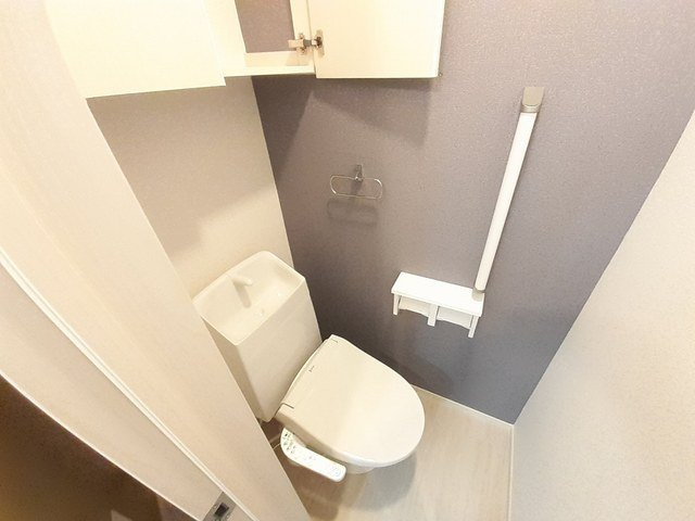 シエロガーデンかつらぎＡのトイレ