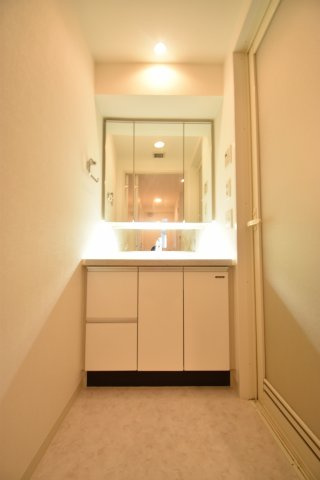 クロスレジデンス大阪新町の洗面所