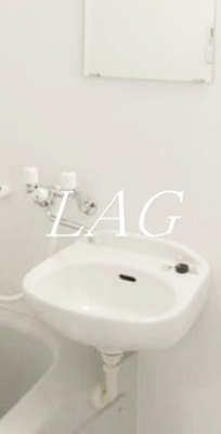 【洗面所】 | ザ・コートハウス十条Ⅱ | 洗面台です。