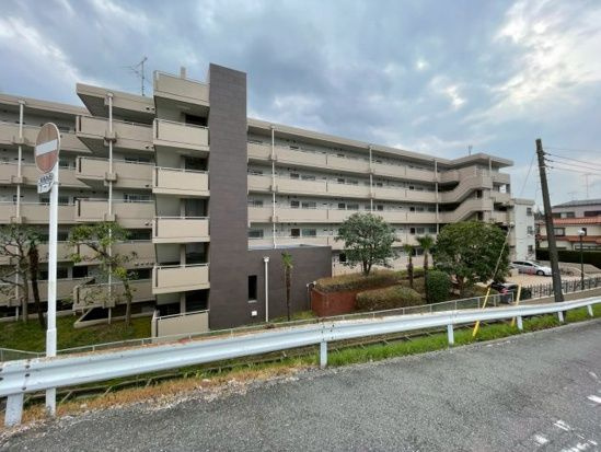 ジュネシオン柏