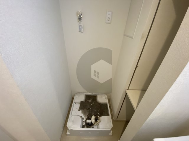 カシータ・ソルのその他