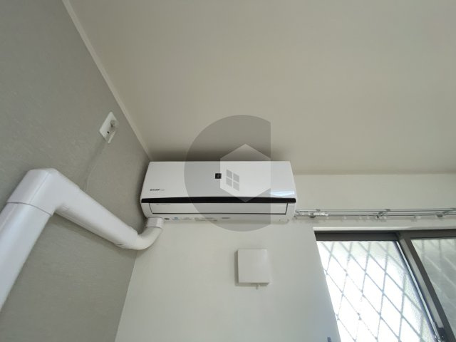 カシータ・ソルのその他