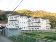 アイリスMTの画像