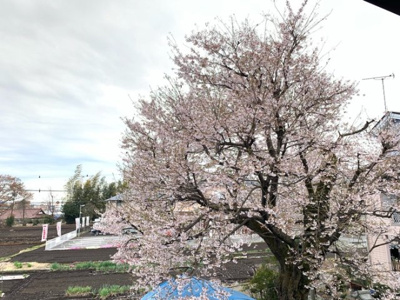 【バルコニー】 | パルティール | バルコニーからの眺望（春）