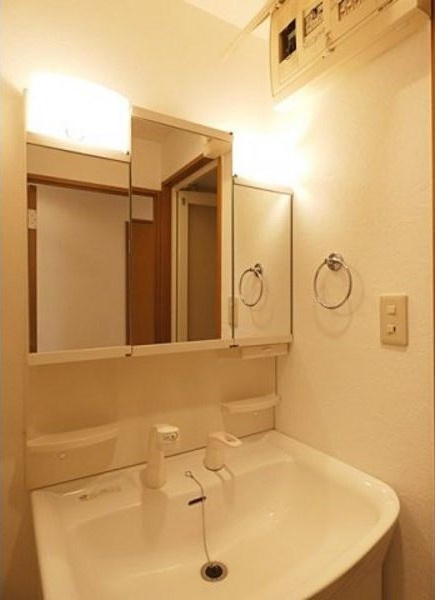 スプリングウェルの洗面所