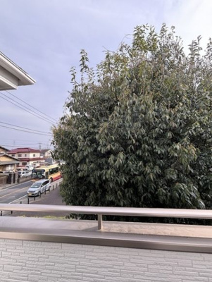 【バルコニー】 | Kolet横浜上飯田