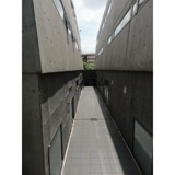 ＥＢＩＳＵ　ＦＯＬＩＯ　Ａｃｔ．３の画像