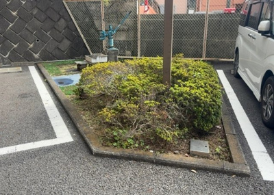 【中庭】 | ルミナス相模原 | 中庭（パティオ）とは、一つの建築物の内部に設けられた、壁などで囲われている庭のことを指します。コの字型、ロの字型が主流ですが、L字型の中庭もあります。最近では、インテリア性の高さからも人気があります。