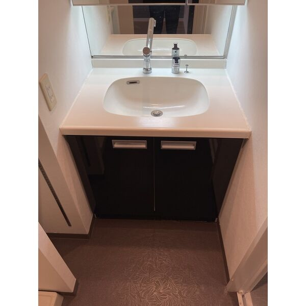 レジュールアッシュ福島の洗面所