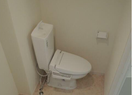 ザ・コートハウス十条Ⅱのトイレ