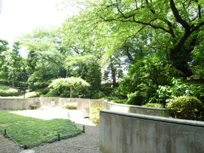 【その他】 | 藤和シティコープ松戸岩瀬 | 中庭