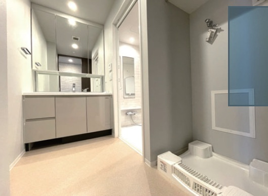 ワコーレ舞子シーテラスの独立洗面台